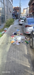 Photo of this report