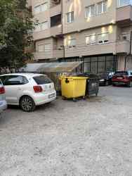 Photo of this report