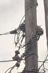 Photo of this report