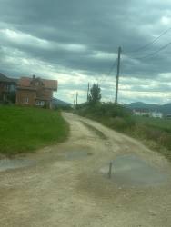 Photo of this report